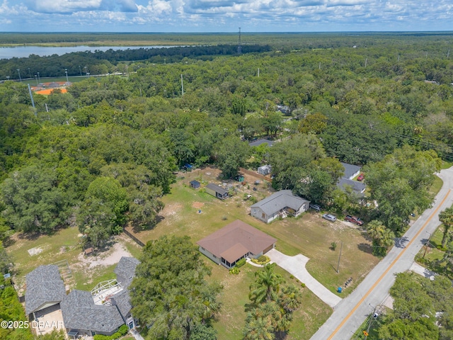5060 Audubon Ave, Deleon Springs, FL 32130 - drone / aerial view of a forest and a nearby body of water