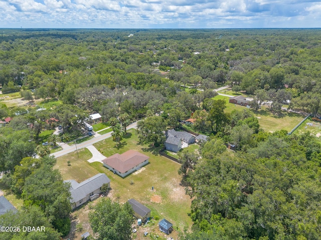 5060 Audubon Ave, Deleon Springs, FL 32130 - bird's eye view of a forest