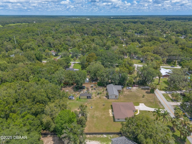 5060 Audubon Ave, Deleon Springs, FL 32130 - aerial overview of property's location with a forest