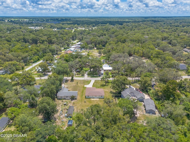 5060 Audubon Ave, Deleon Springs, FL 32130 - aerial overview of property's location with a forest
