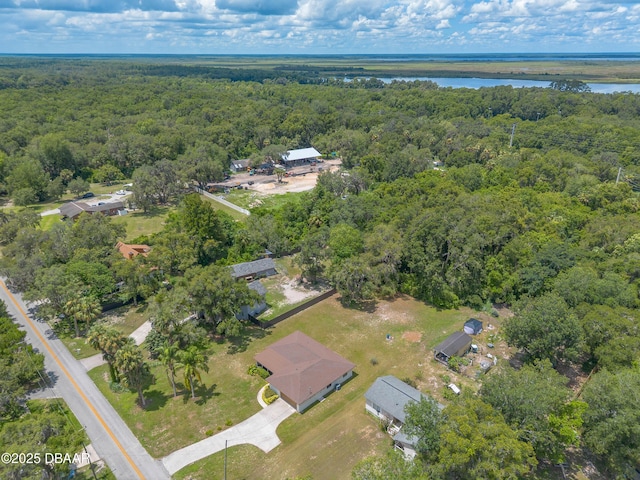 5060 Audubon Ave, Deleon Springs, FL 32130 - aerial view of property's location with a heavily wooded area and a large body of water