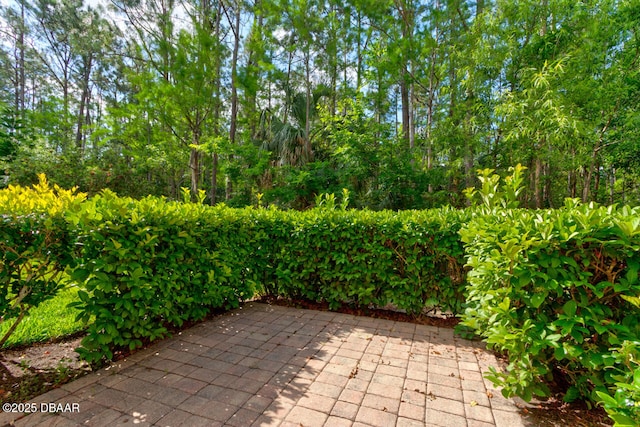 209 Tarracina Way, Daytona Beach, FL 32117 - view of patio / terrace