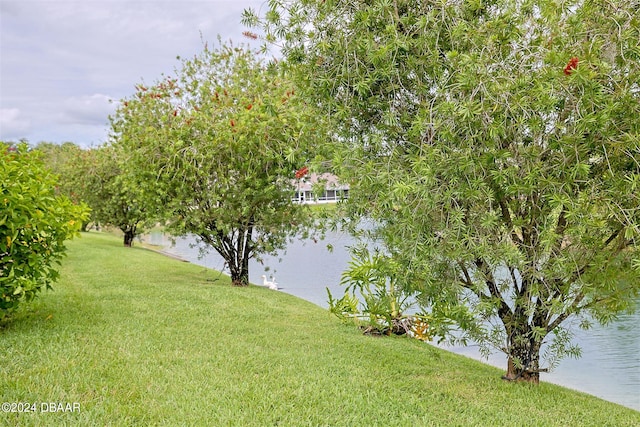 view of yard with a water view