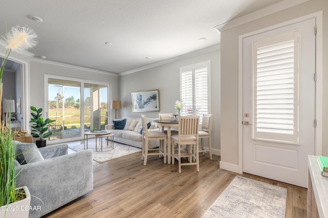 living room featuring a wealth of natural light, crown molding, and light hardwood / wood-style floors