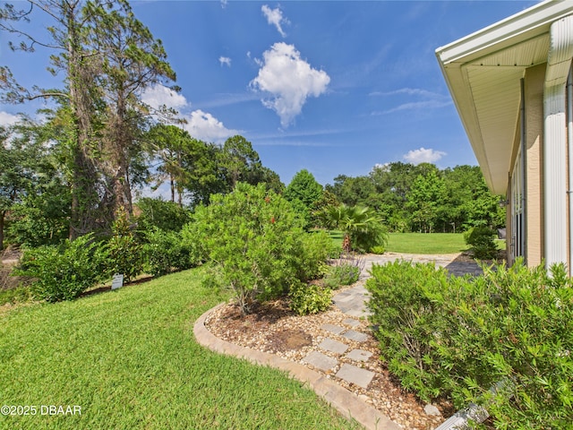 63 Park Place Cir, Palm Coast, FL 32164 - view of green lawn