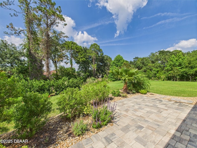 63 Park Place Cir, Palm Coast, FL 32164 - view of patio / terrace