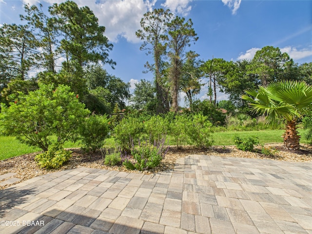 63 Park Place Cir, Palm Coast, FL 32164 - view of patio / terrace