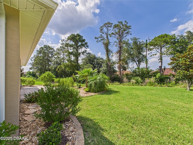 63 Park Place Cir, Palm Coast, FL 32164 - view of grassy yard