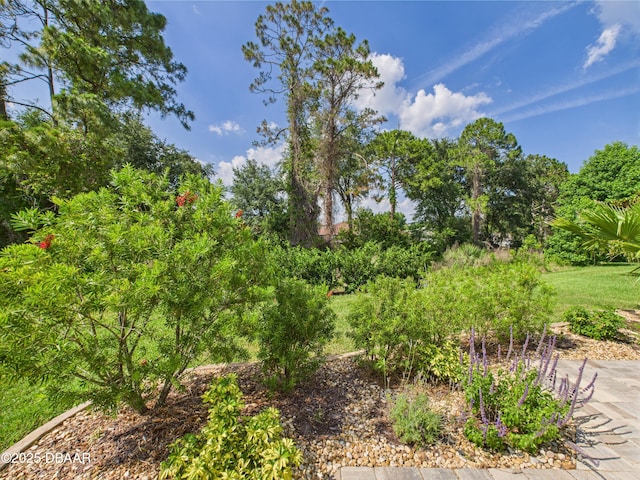 63 Park Place Cir, Palm Coast, FL 32164 - view of local wilderness