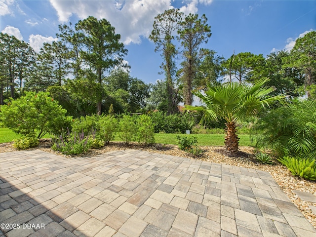 63 Park Place Cir, Palm Coast, FL 32164 - view of patio / terrace