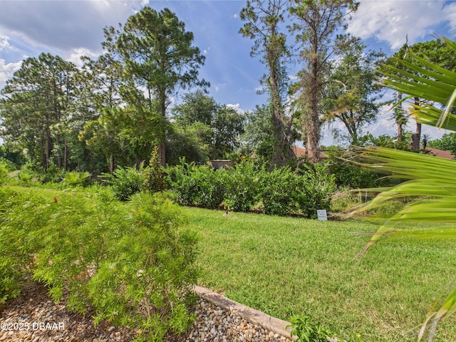 63 Park Place Cir, Palm Coast, FL 32164 - view of green lawn