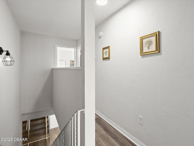 hallway featuring hardwood / wood-style floors