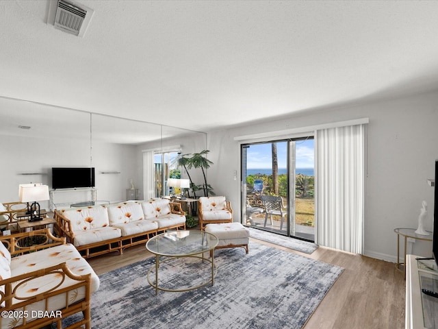 living room with hardwood / wood-style flooring and a textured ceiling