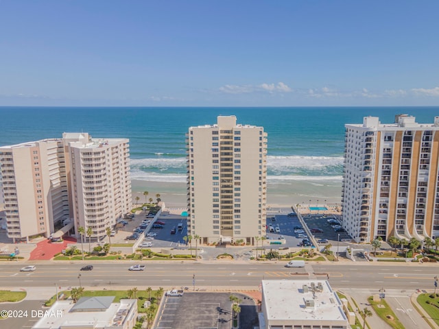 drone / aerial view with a water view and a view of the beach