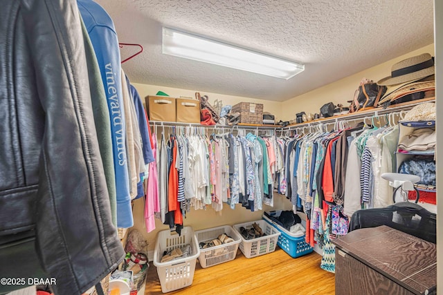 walk in closet with wood finished floors