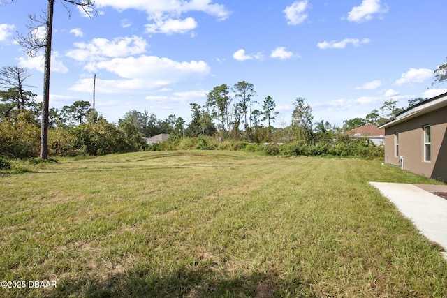 view of yard