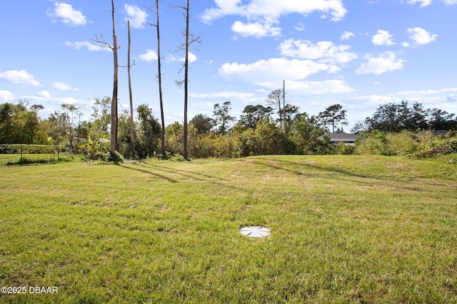 view of yard