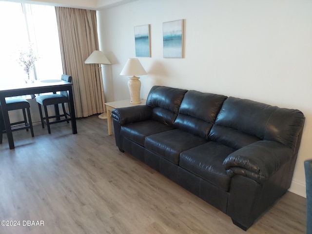 living room featuring hardwood / wood-style floors