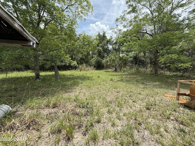 3625 Pioneer Trl, New Smyrna Beach, FL 32168 - photo 9