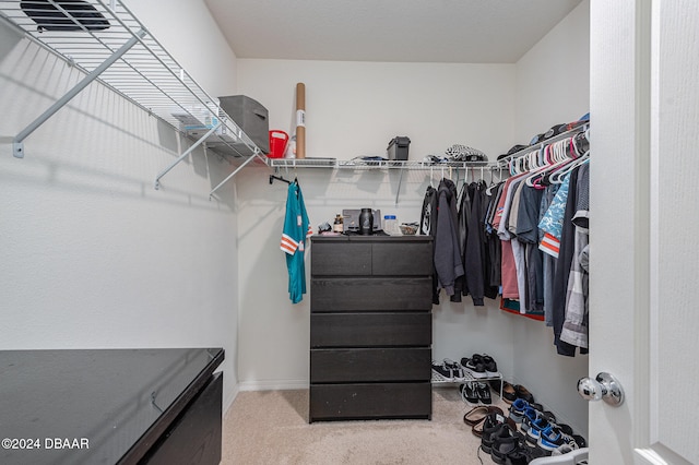 spacious closet with carpet floors