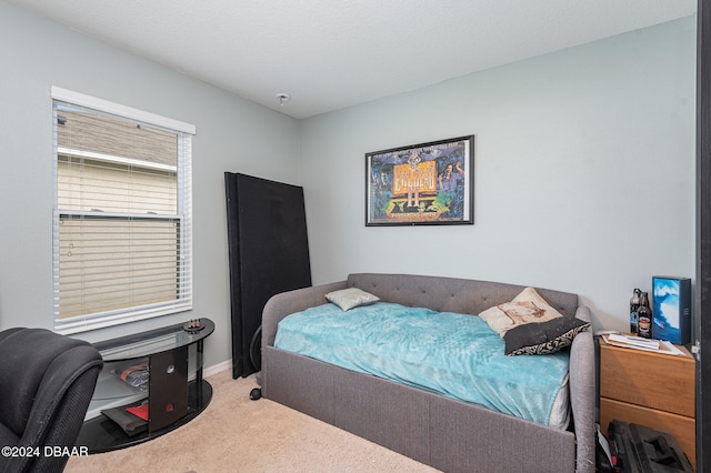 bedroom with carpet floors