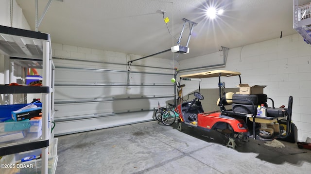 551 Armoyan Way, New Smyrna Beach, FL 32168 - garage with a garage door opener and concrete block wall
