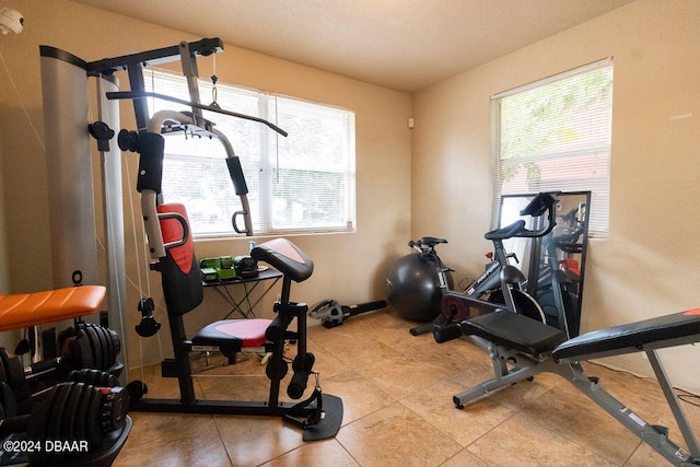 exercise area featuring plenty of natural light