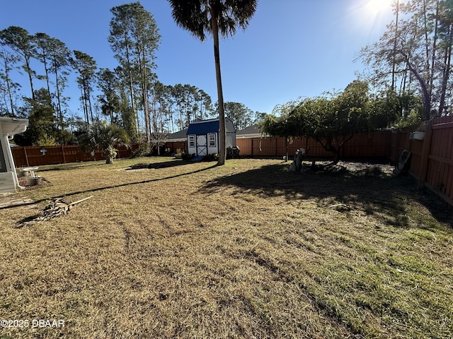 view of yard featuring a storage unit