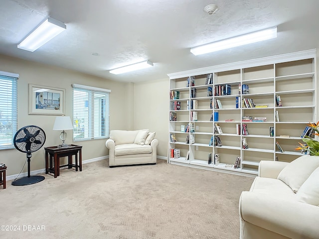 living area with carpet floors