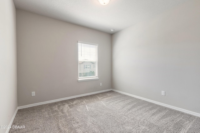 unfurnished room with a textured ceiling and carpet flooring