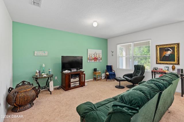 carpeted living room with a textured ceiling