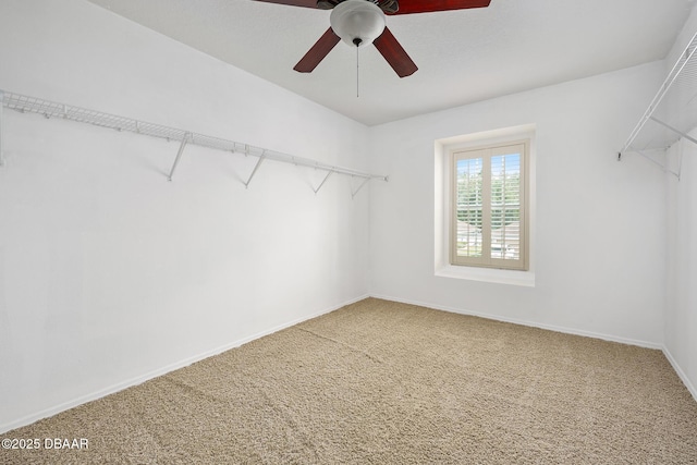 5 Cantilever Ct, Ormond Beach, FL 32174 - walk in closet featuring a ceiling fan and carpet flooring