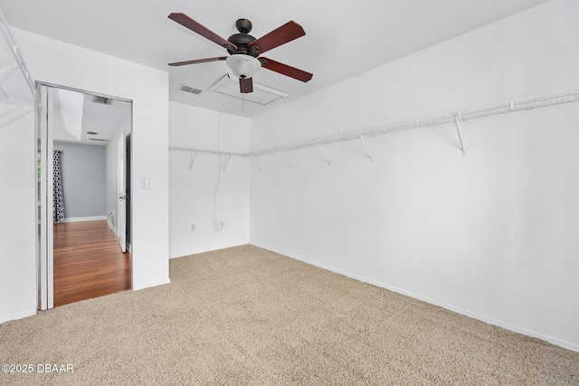 5 Cantilever Ct, Ormond Beach, FL 32174 - unfurnished bedroom featuring carpet floors, baseboards, and a ceiling fan