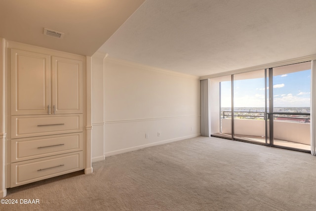 spare room featuring light colored carpet and ornamental molding