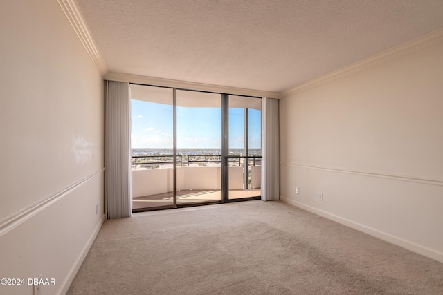 spare room with light carpet, a textured ceiling, expansive windows, and crown molding