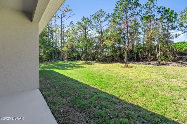 38 Sea Front Trl, Palm Coast, FL 32164 - photo 28