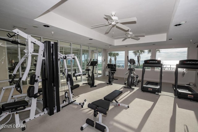 workout area featuring a raised ceiling