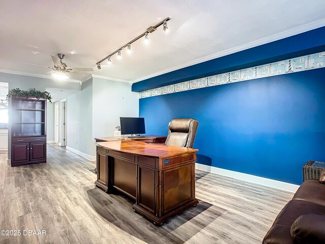 office space with ornamental molding and light hardwood / wood-style floors