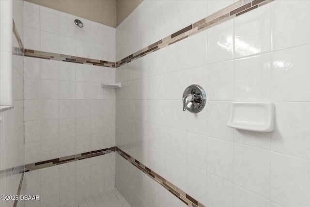 3 Slow Stream Way, Ormond Beach, FL 32174 - bathroom with a tile shower
