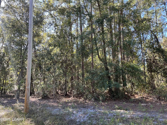125 E Boundary Dr, Georgetown, FL 32139