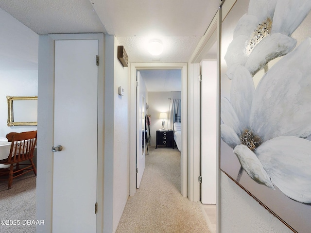 hallway with light colored carpet
