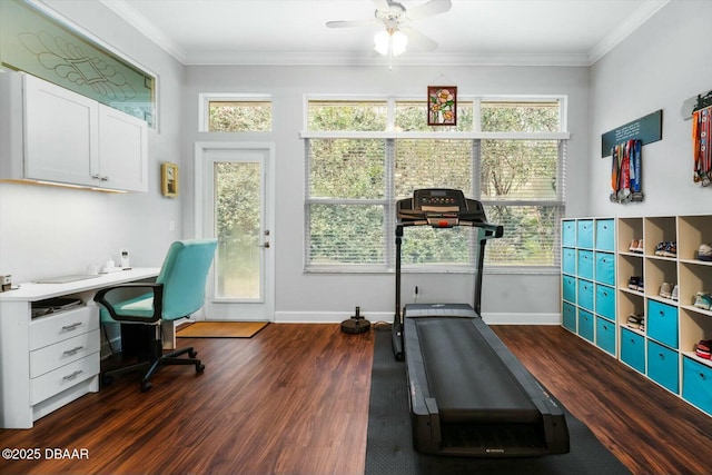 exercise room with plenty of natural light, ceiling fan, ornamental molding, and dark wood-type flooring