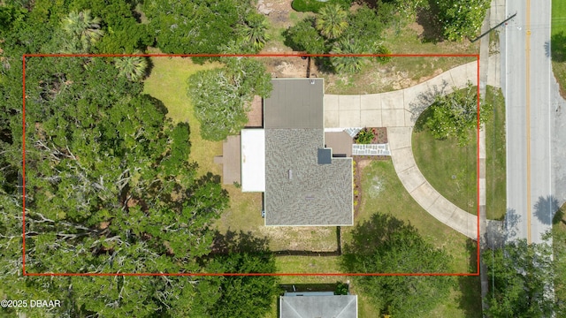 556 N Beach St, Ormond Beach, FL 32174 - aerial view of property's location featuring property boundaries highlighted