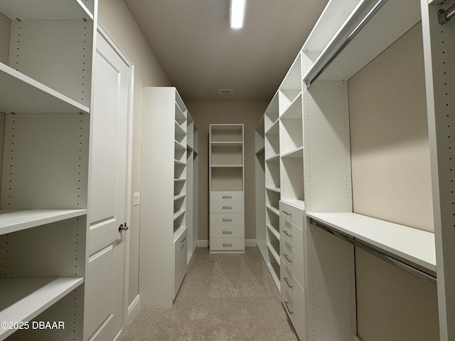 spacious closet with light colored carpet