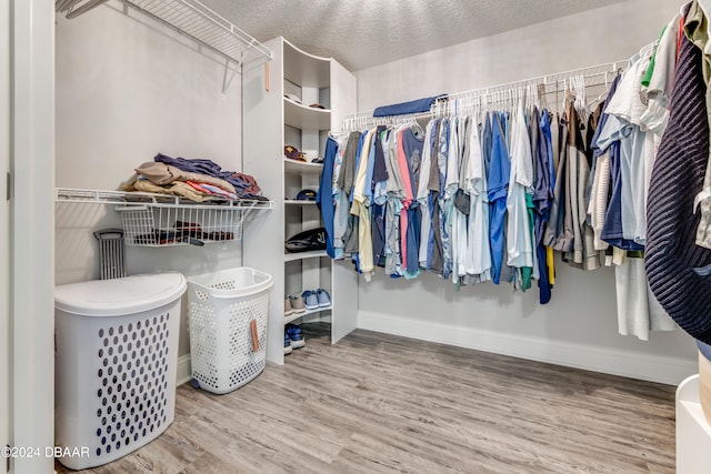 spacious closet with wood-type flooring