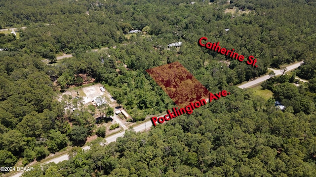 9640 Pocklington Ave, Hastings, FL 32145