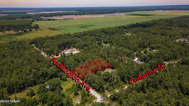 9640 Pocklington Ave, Hastings, FL 32145