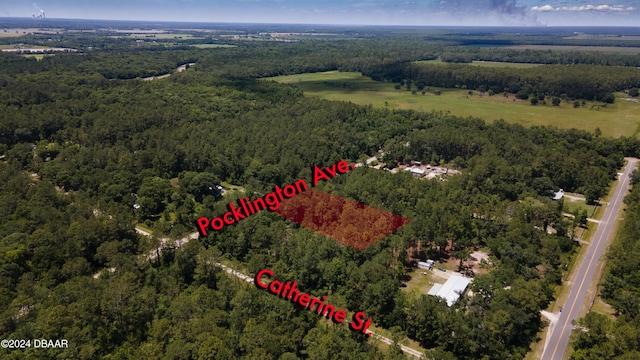 9640 Pocklington Ave, Hastings, FL 32145