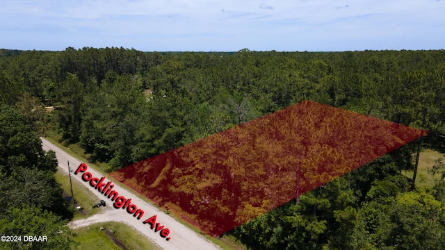 9640 Pocklington Ave, Hastings, FL 32145