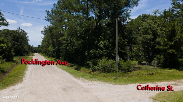 9640 Pocklington Ave, Hastings, FL 32145